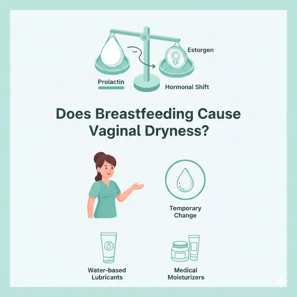 Does Breastfeeding Cause Vaginal Dryness? Causes & Solutions